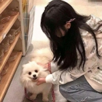 狂怒仙剑手游下载